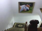小區圖