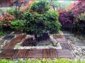 室內圖