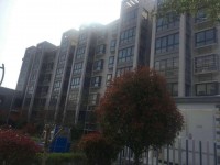 其它圖
