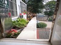其它圖