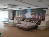 其它圖