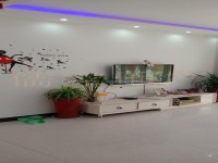 其它圖