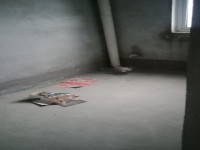其它圖