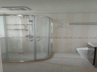 其它圖
